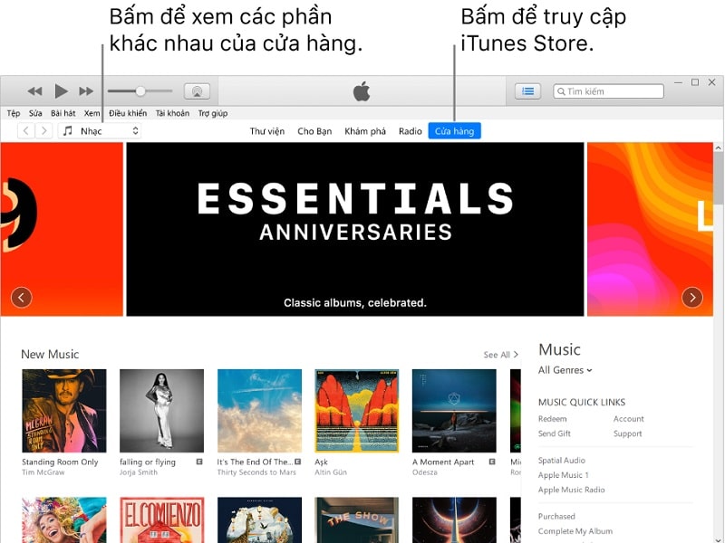 Các tính năng của iTunes Store