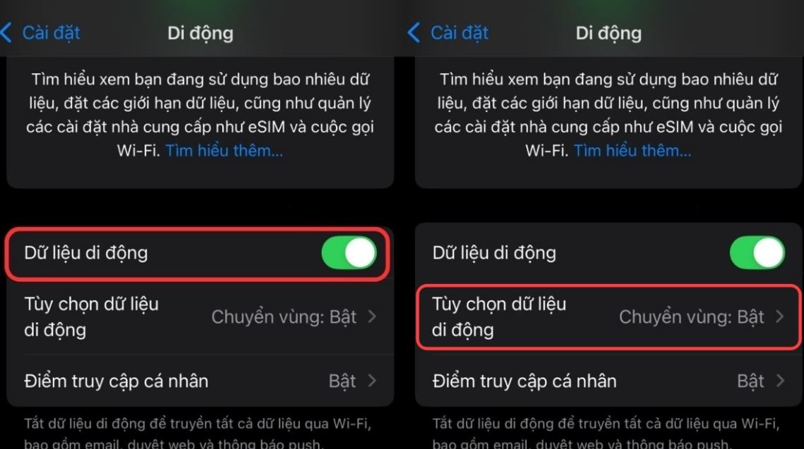 Chọn mục “Di động”. Nhấn tiếp vào thanh "Dữ liệu di động" là bạn đã bật mạng 5G trên iPhone