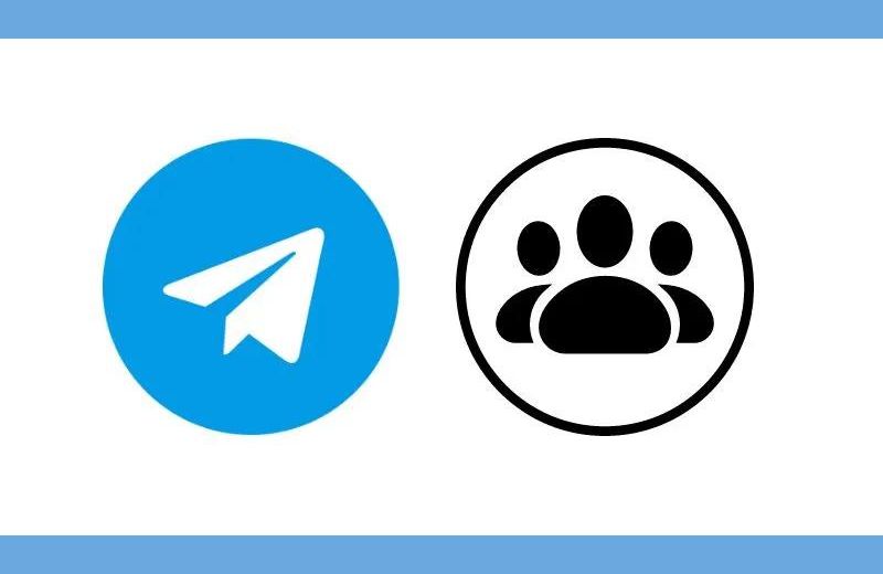 nhóm chat khủng trên telegram