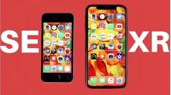 Chọn iPhone SE 2020 hay iPhone XR, smartphone nào phù hợp nhất cho bạn?