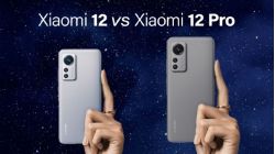 So sánh Xiaomi 12 vs Xiaomi 12 Pro: Nên mua smartphone nào?