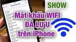 Hướng dẫn xem lại mật khẩu Wi-Fi trên iPhone đơn giản mà hiệu quả